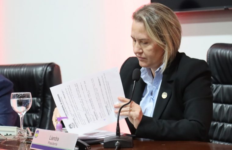 Código Municipal da Mulher unifica leis em Dourados hoje