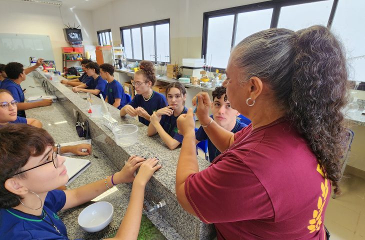 Inscrições professores temporários educação profissional MS
