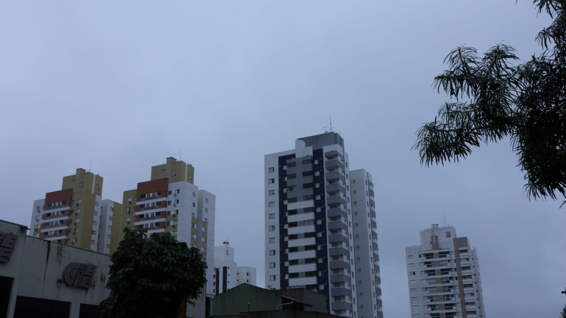 Previsão do Tempo Em MS: Frio e Chuvas Isoladas Nos Próximos Dias